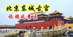 白虎自慰中国北京-东城古宫旅游风景区